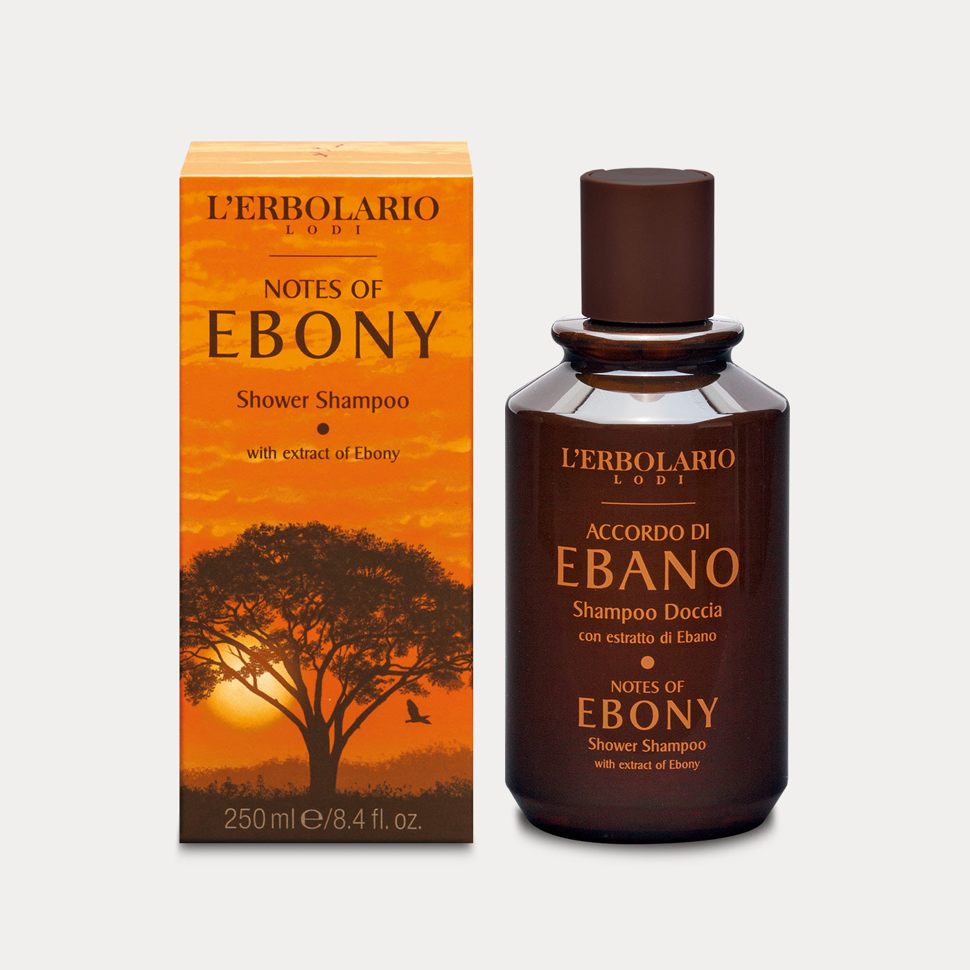 Shower Shampoo Notes of Ebony