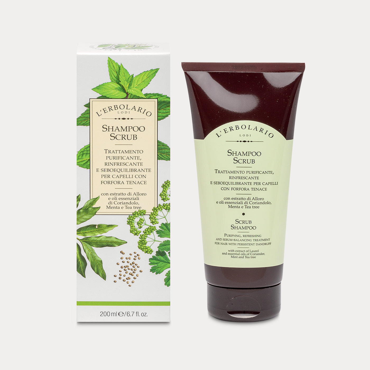 Scrub Shampoo