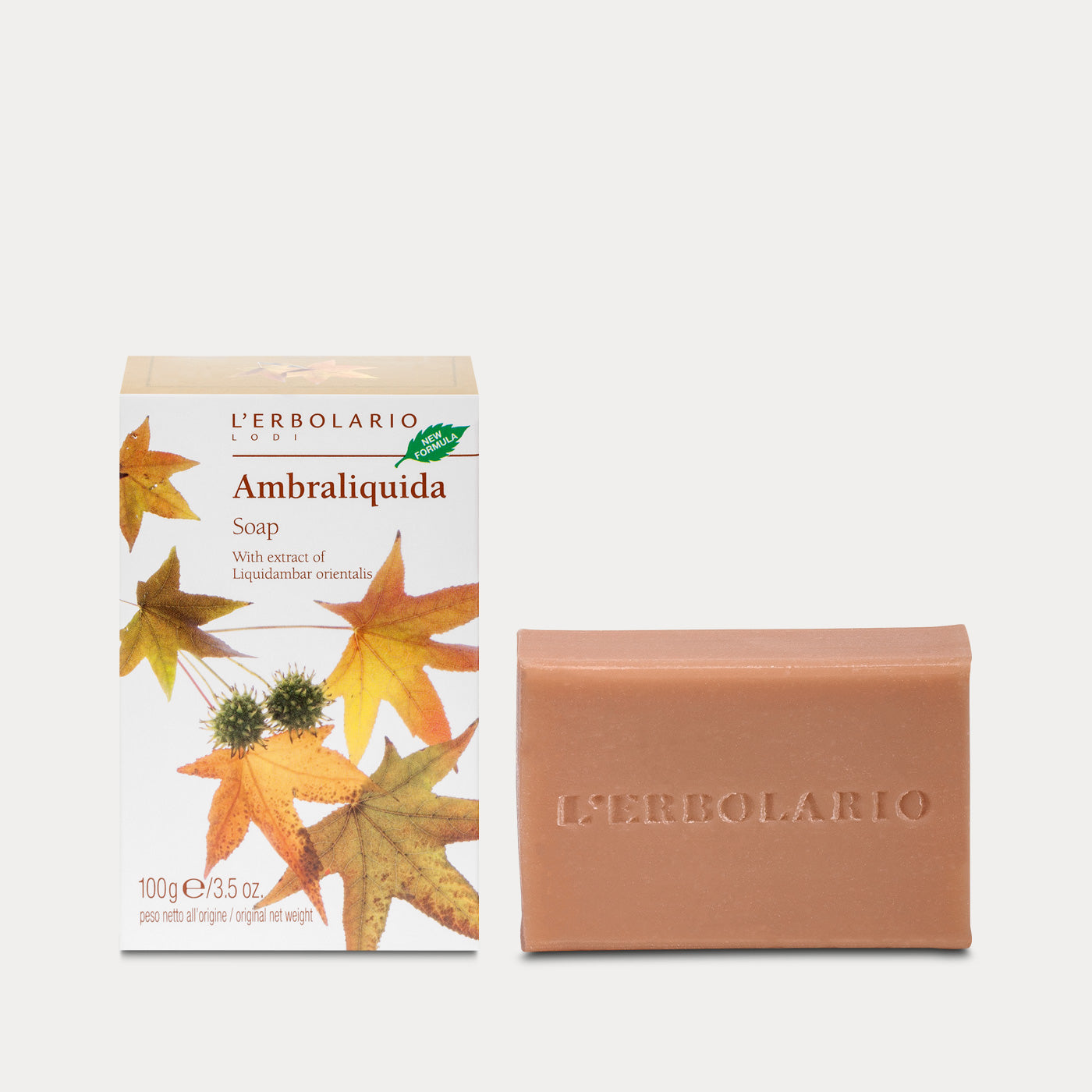 Soap Ambraliquida