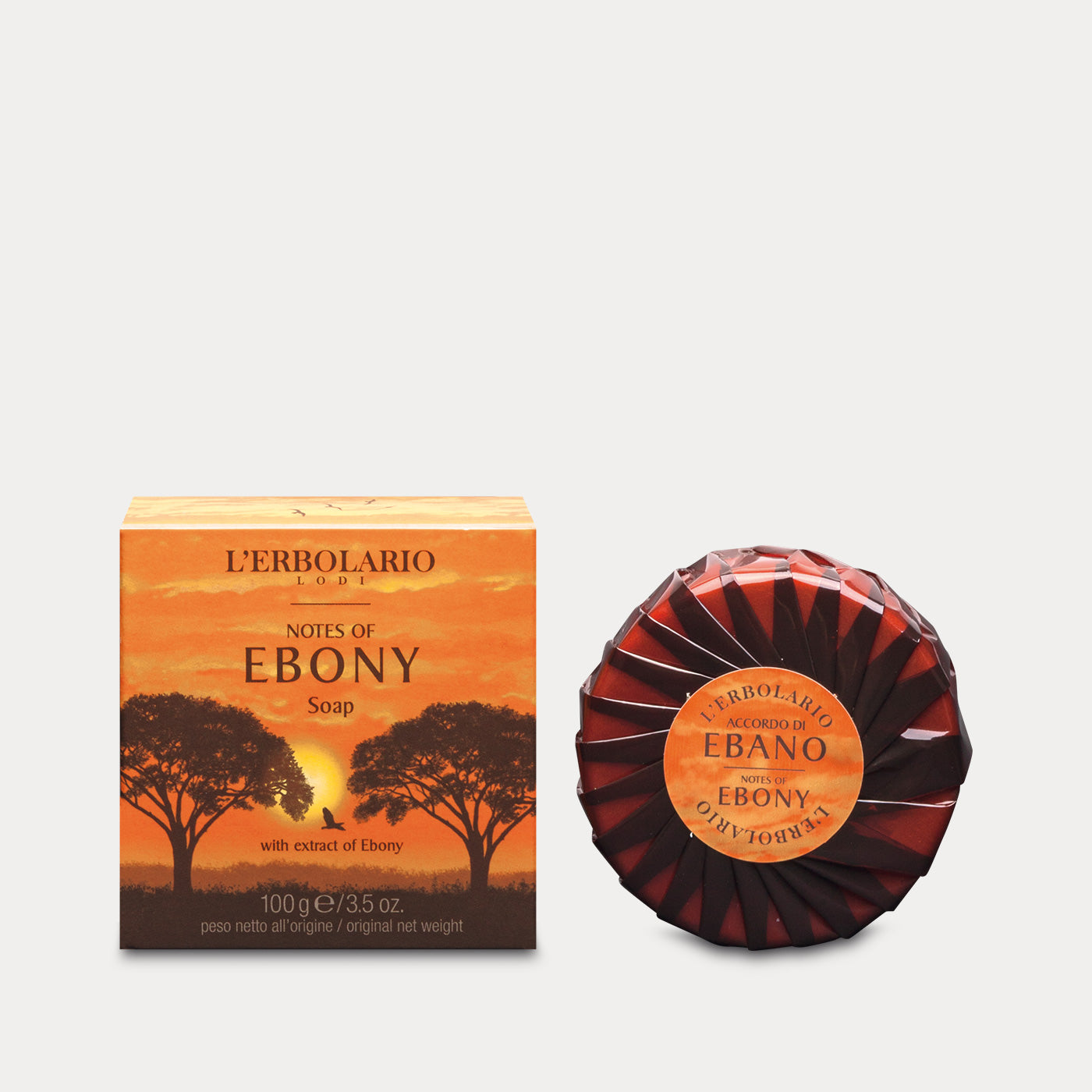 Soap Notes of Ebony