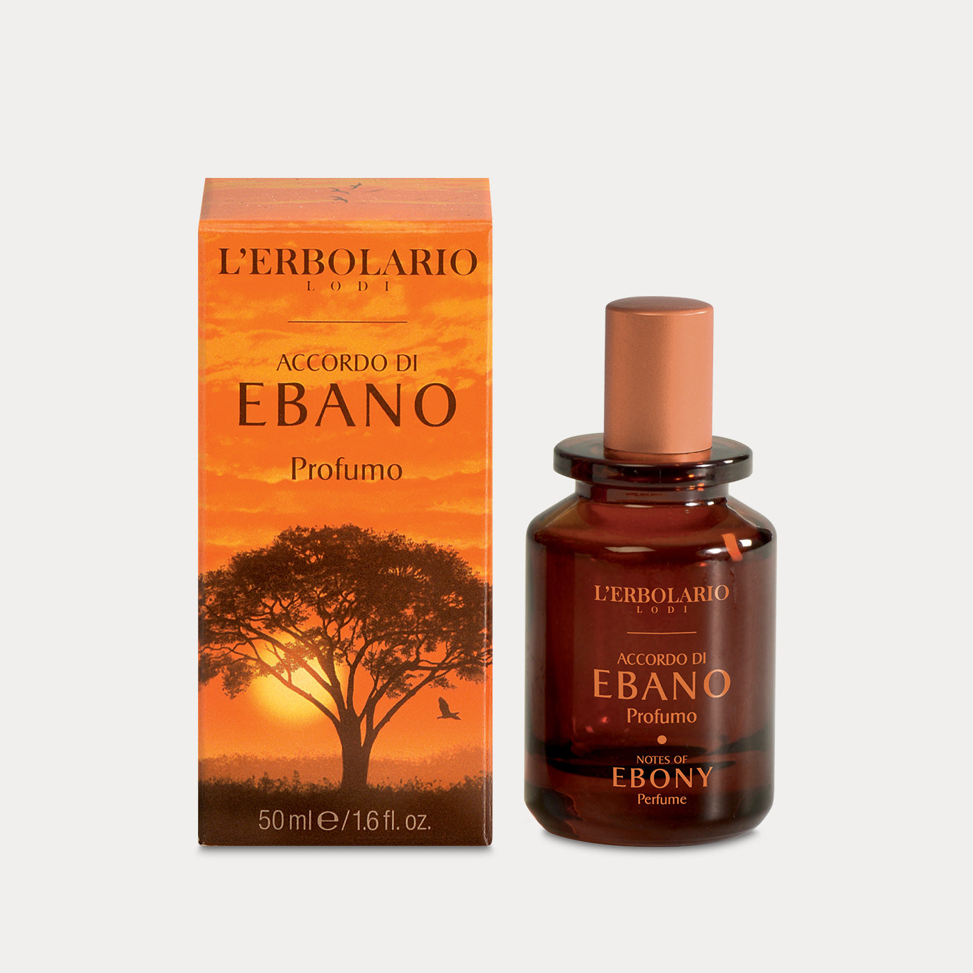 Perfume Notes of Ebony