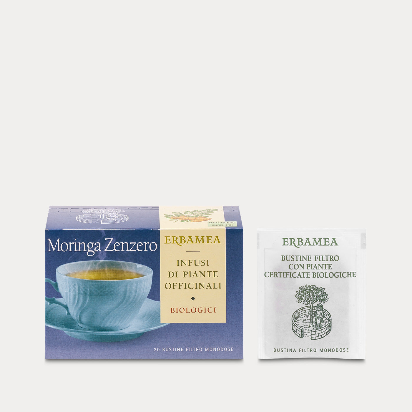 Moringa and Ginger Infusion