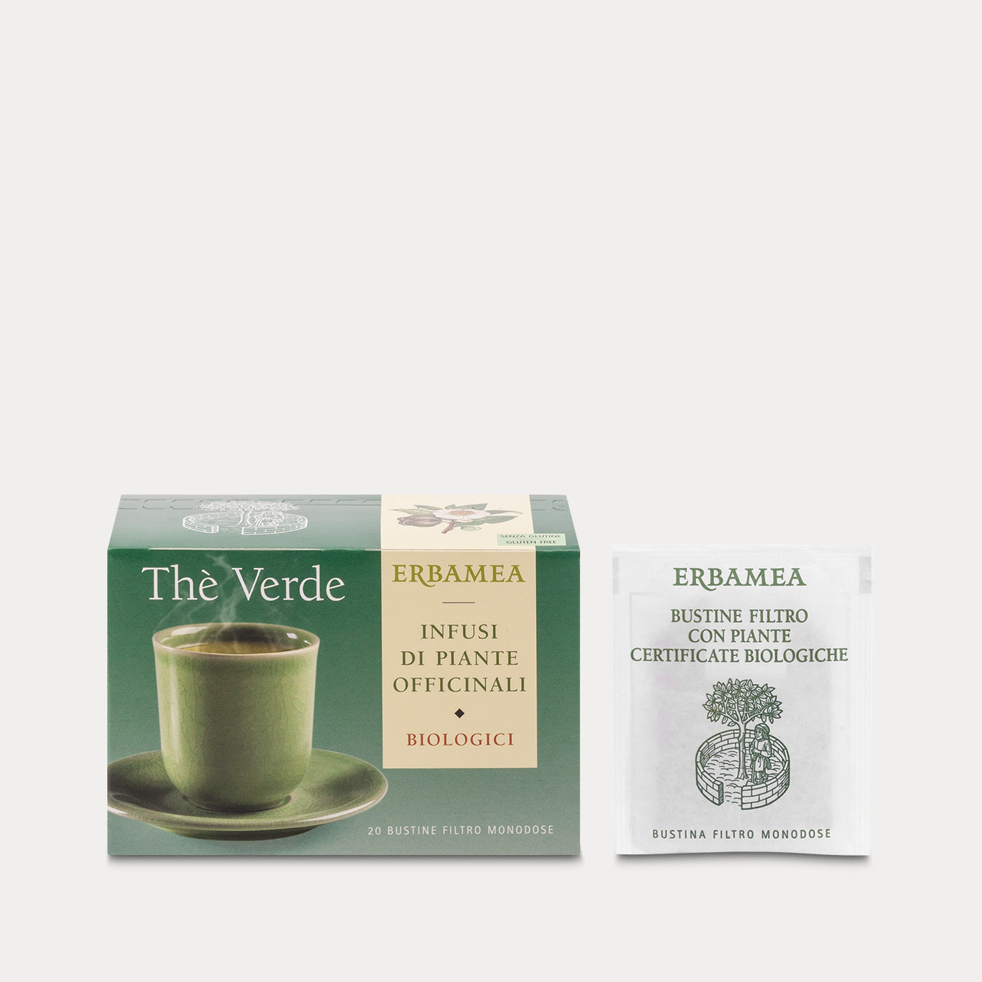 Green Tea Infusion