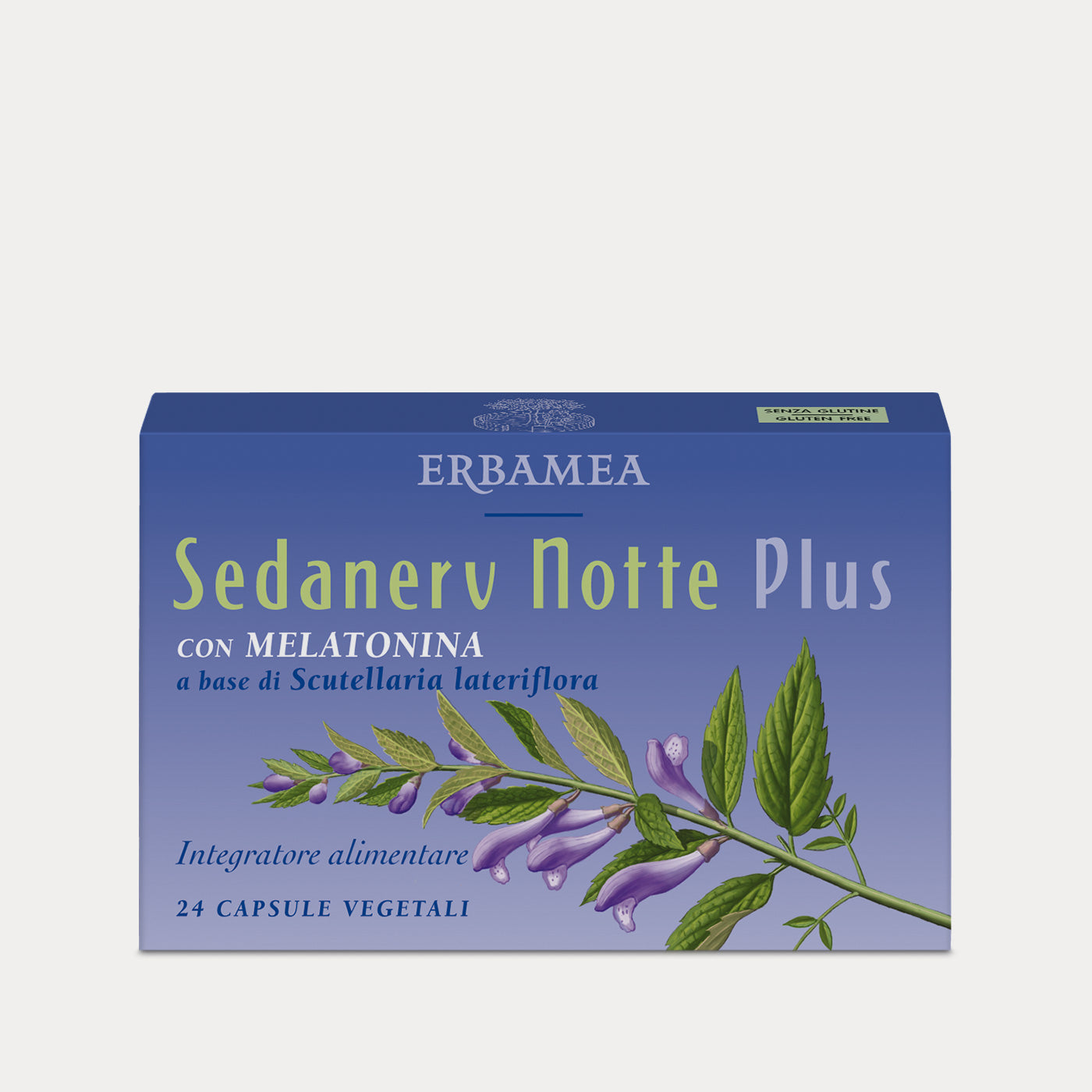 Food Supplement Sedanerv Night Plus