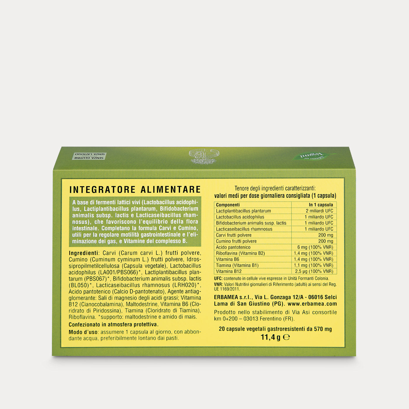 Food supplement Bloating Ferments