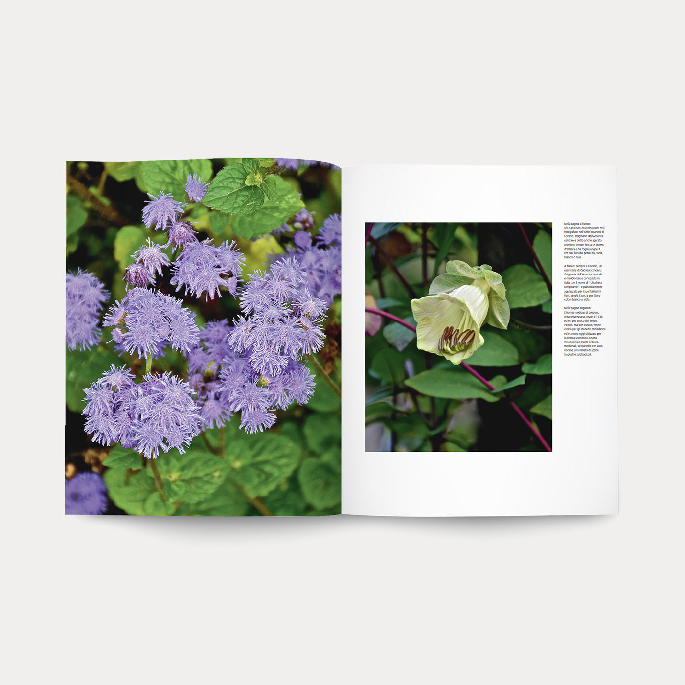 Book Orti Botanici