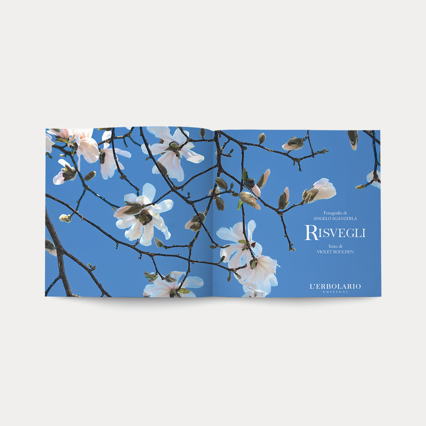 Book Risvegli