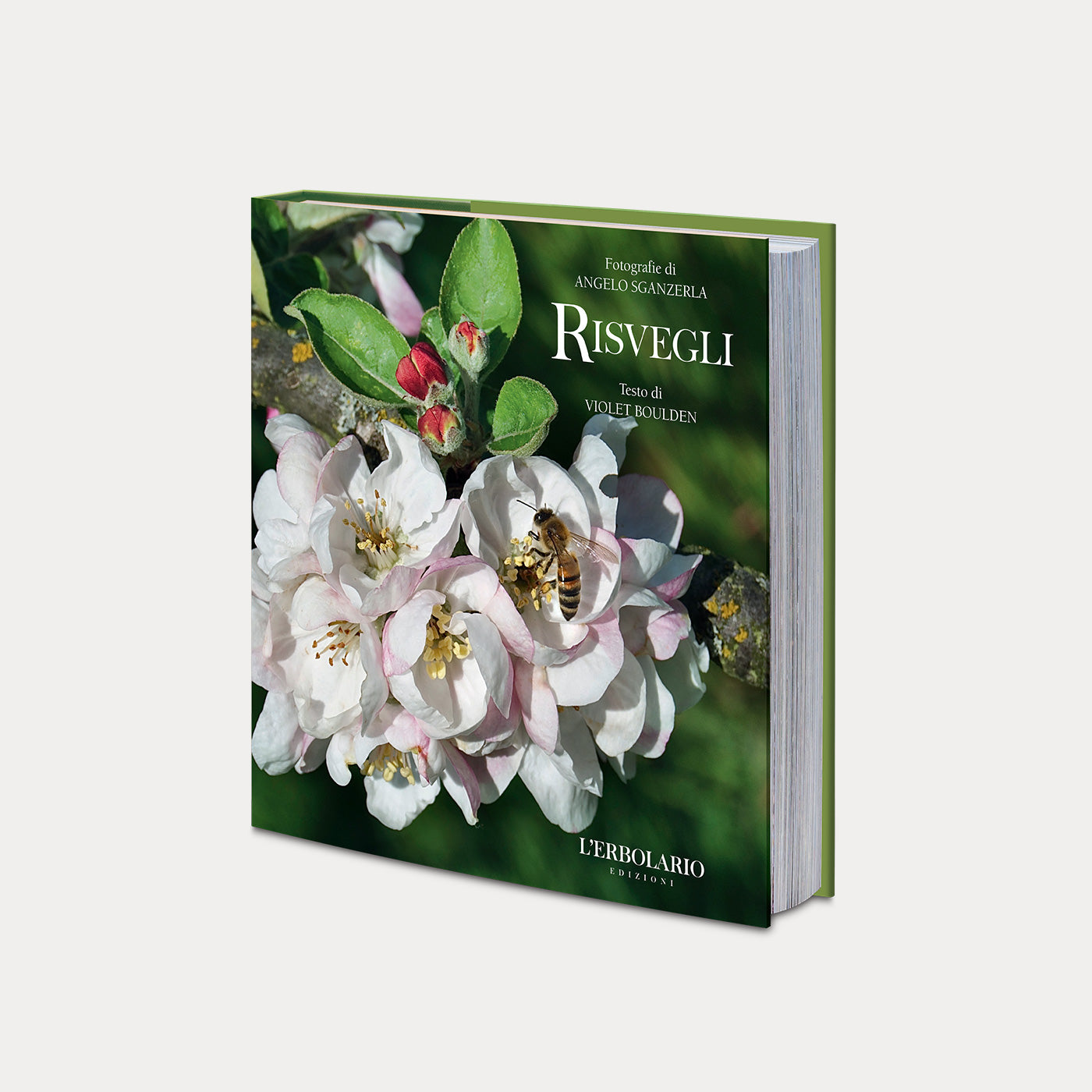 Book Risvegli