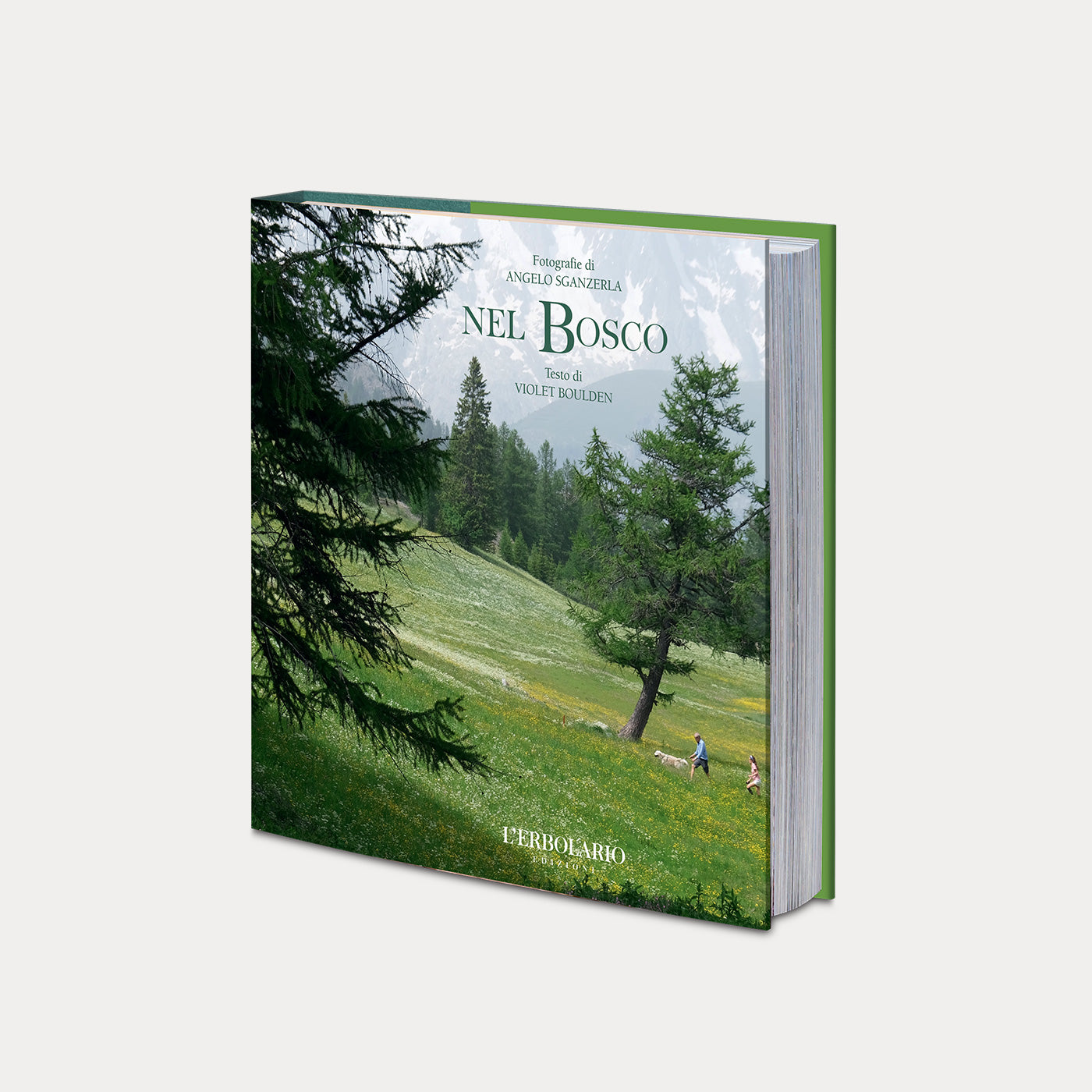 Book Nel Bosco