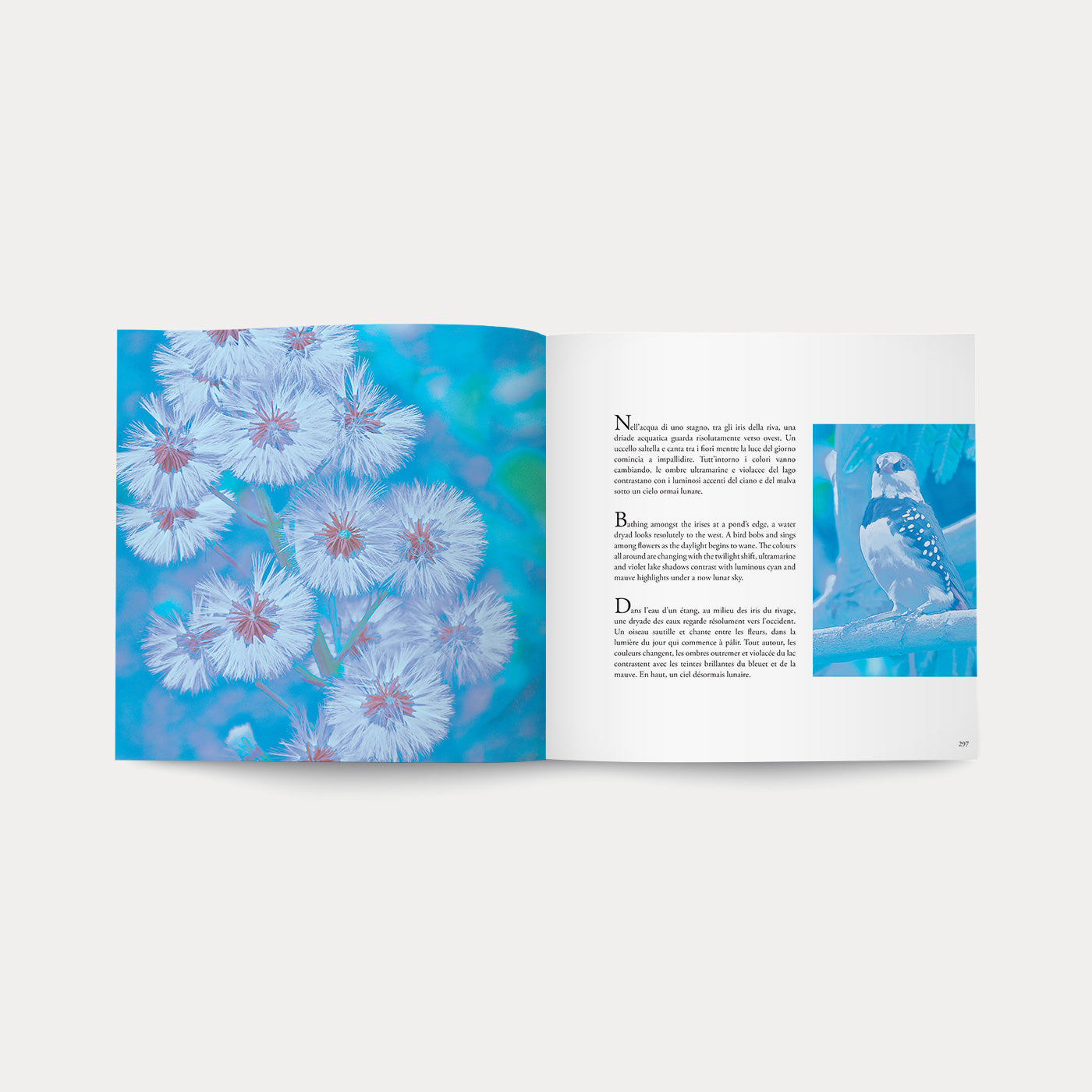Book Magic Garden
