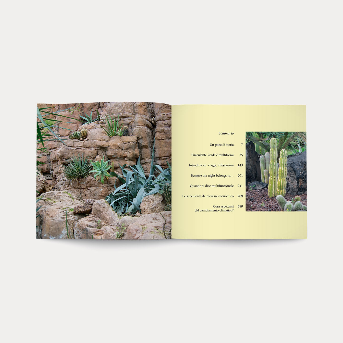 Book Di Fiori e di Spine