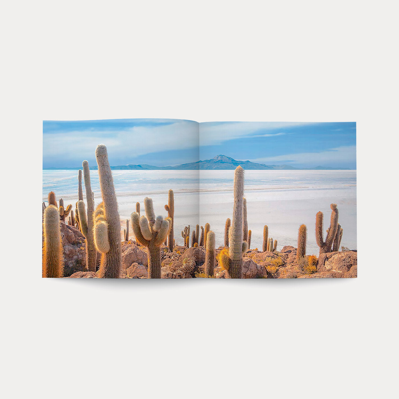 Book Di Fiori e di Spine