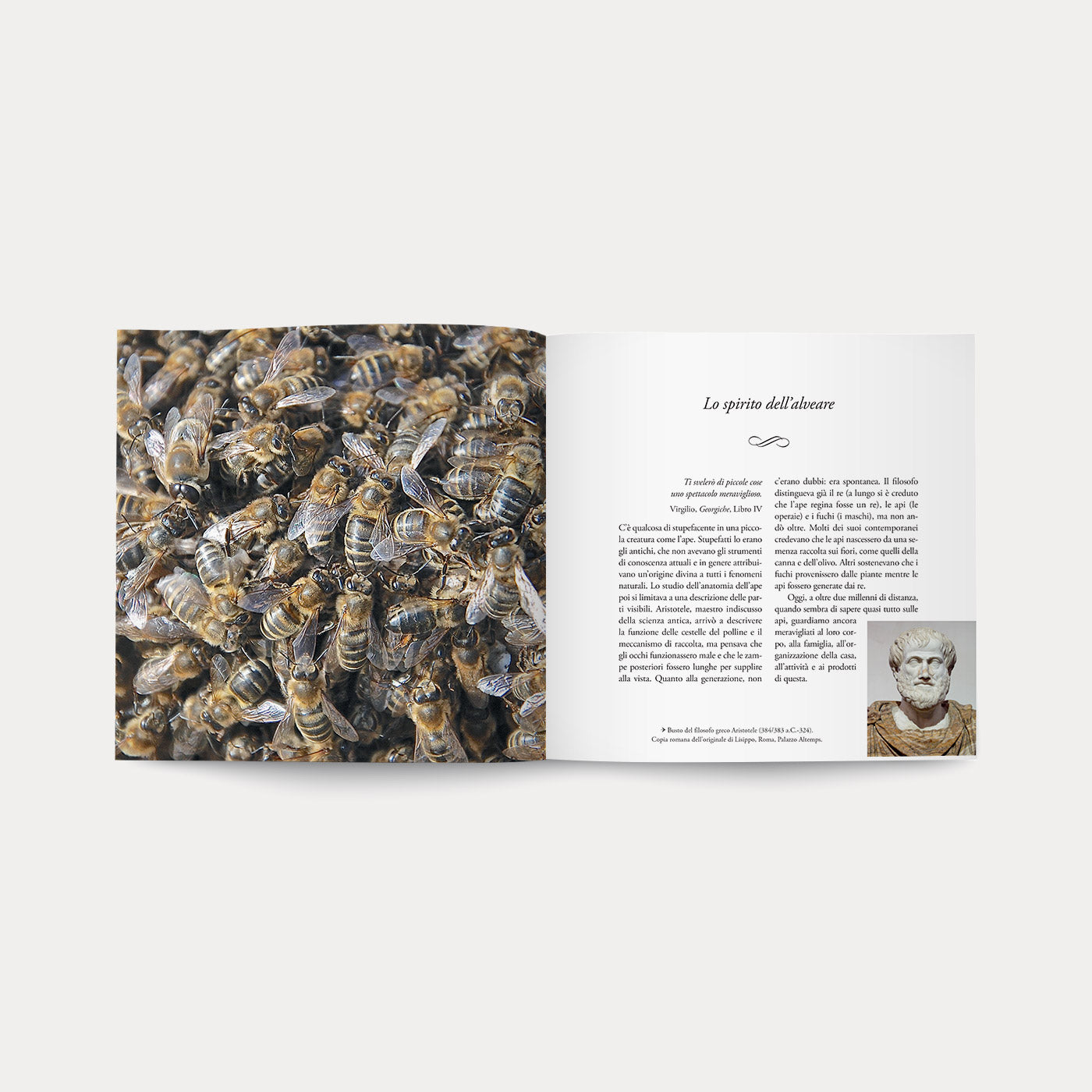 Book Care Api