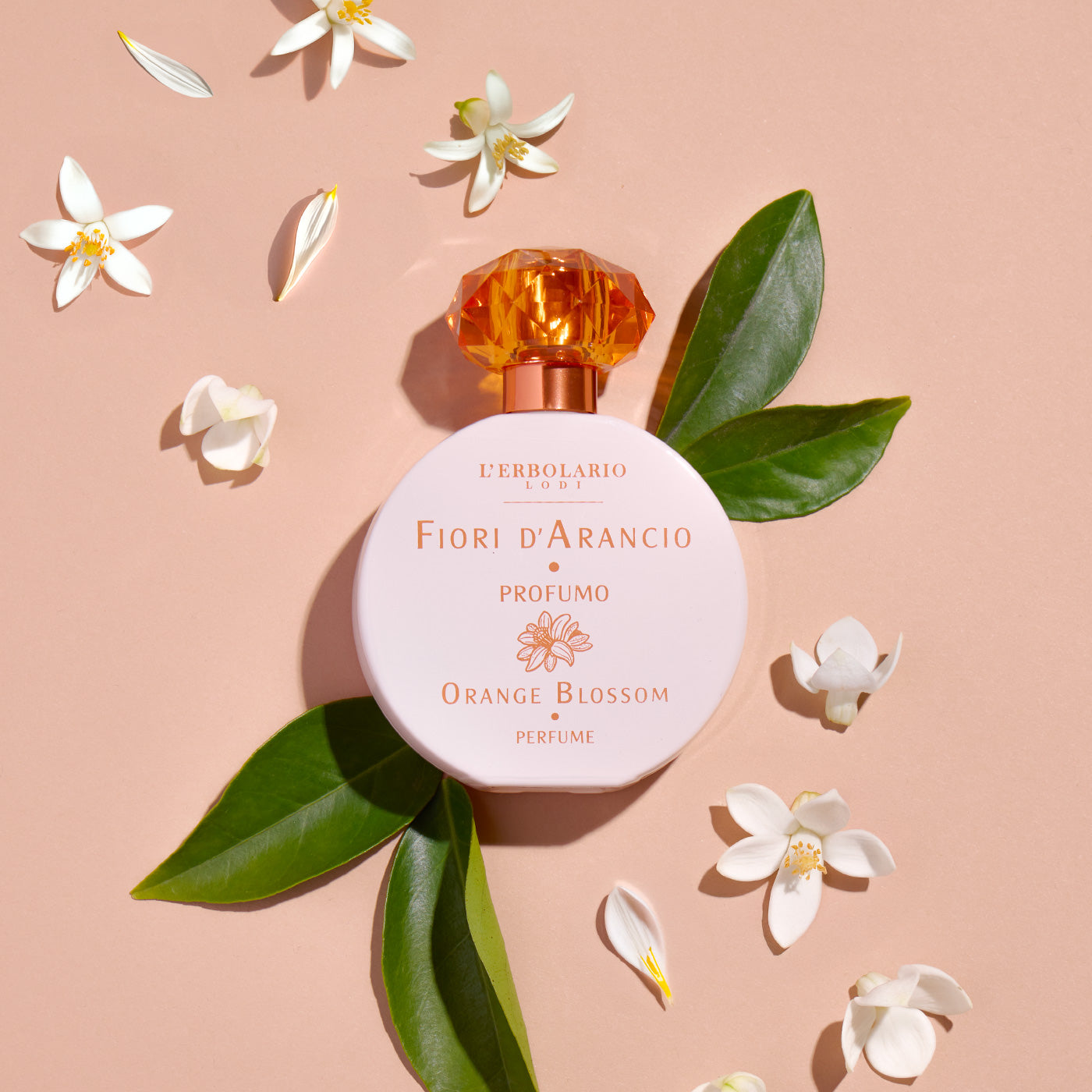 Orange Blossom Perfume