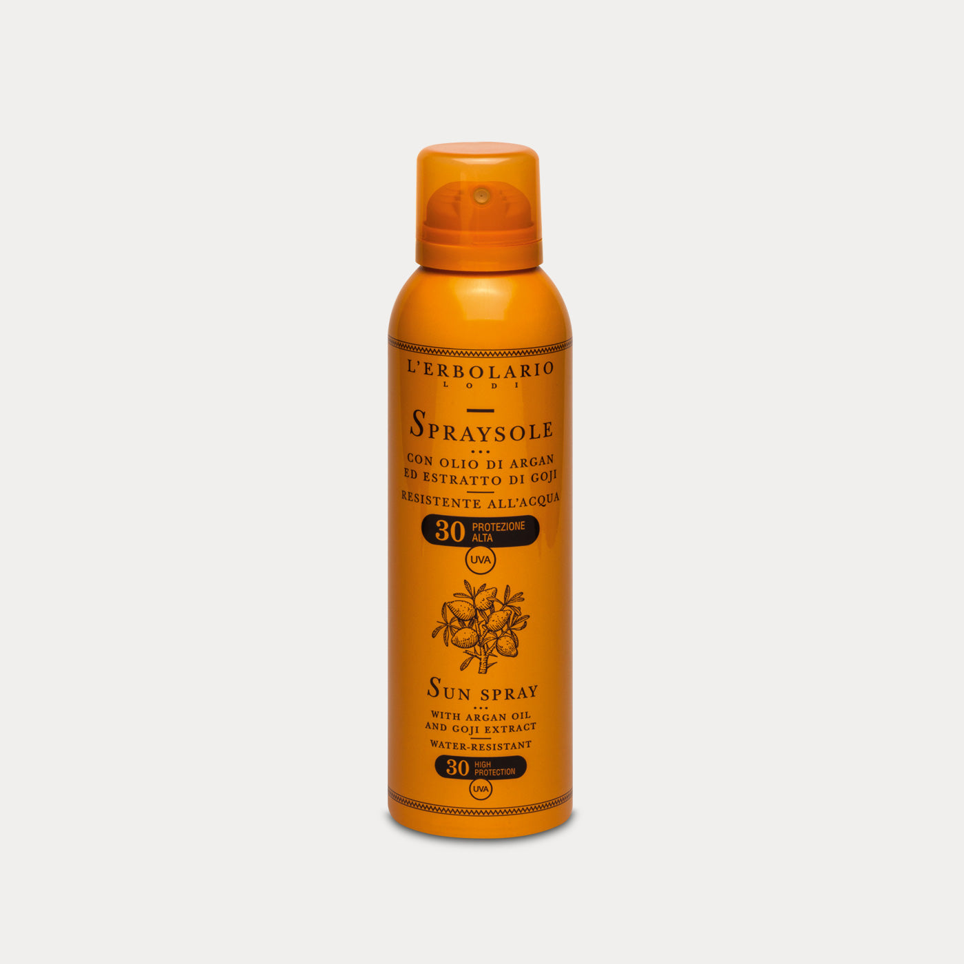 Body Sun Spray SPF 30