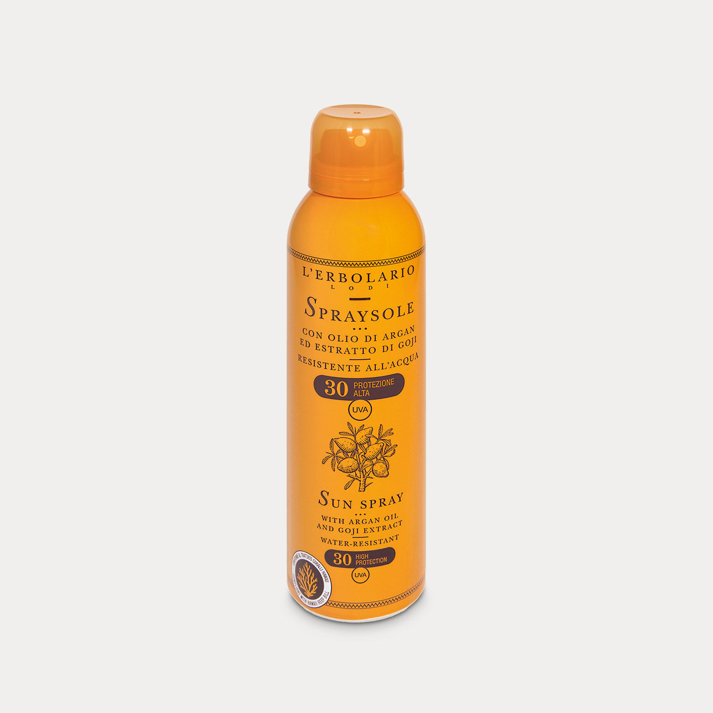 Body Sun Spray SPF 30