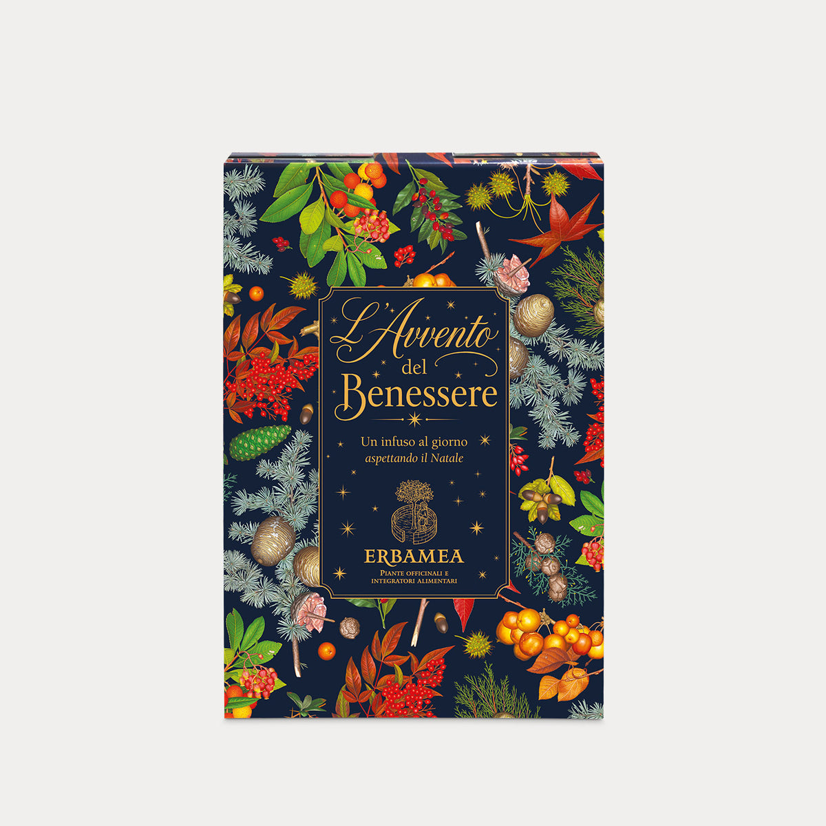 Advent Calendar 2026 Erbamea