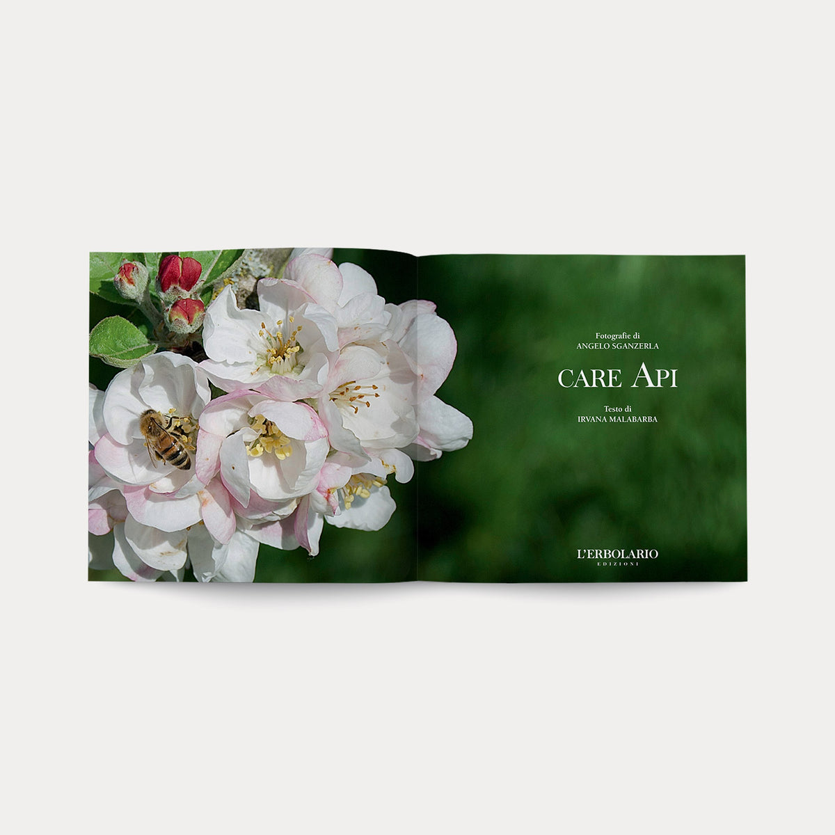 Book Care Api