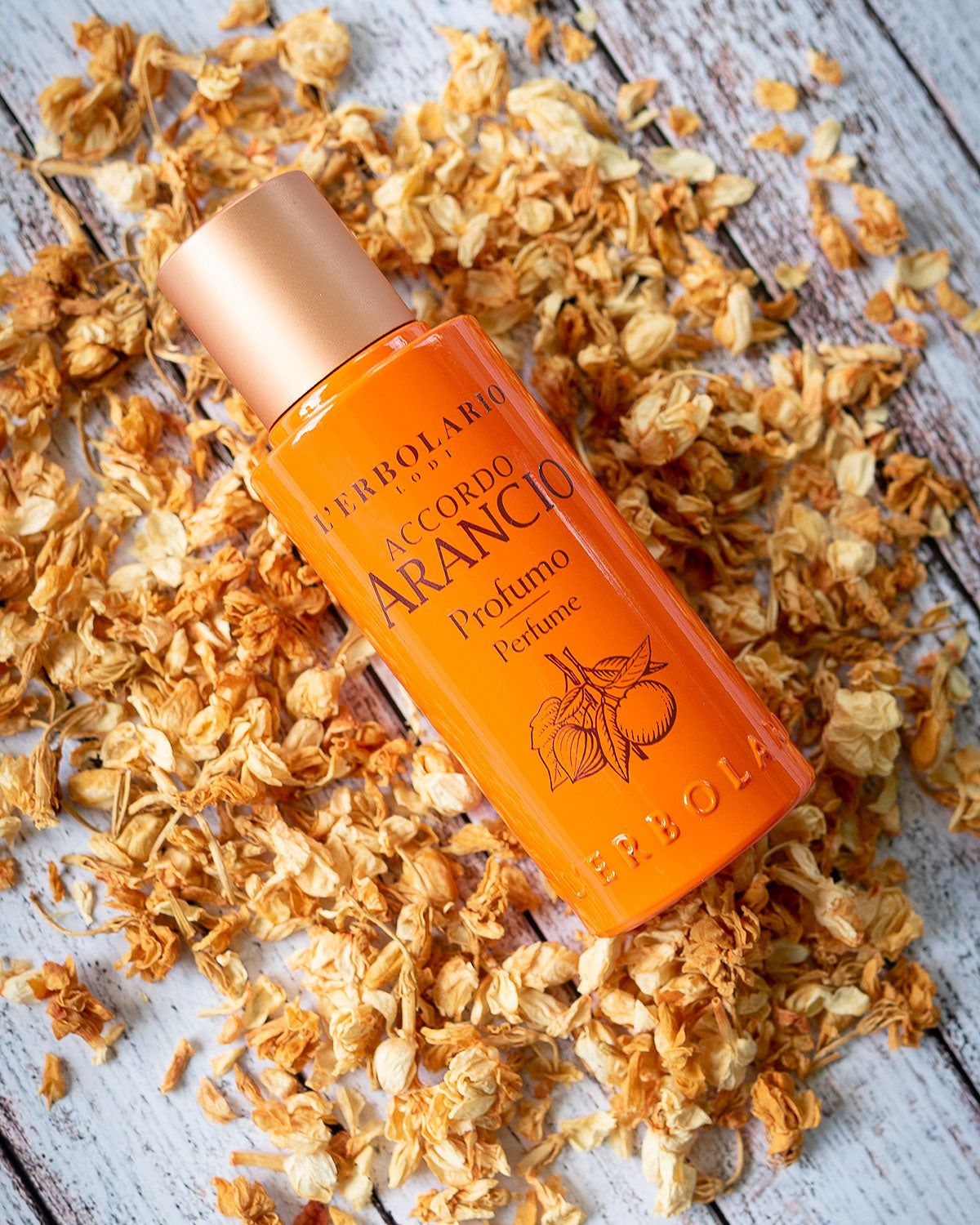 CANDORA ブラッドオレンジ オードトワレ 100ml ブラッドオレンジの香水 - メルカリ