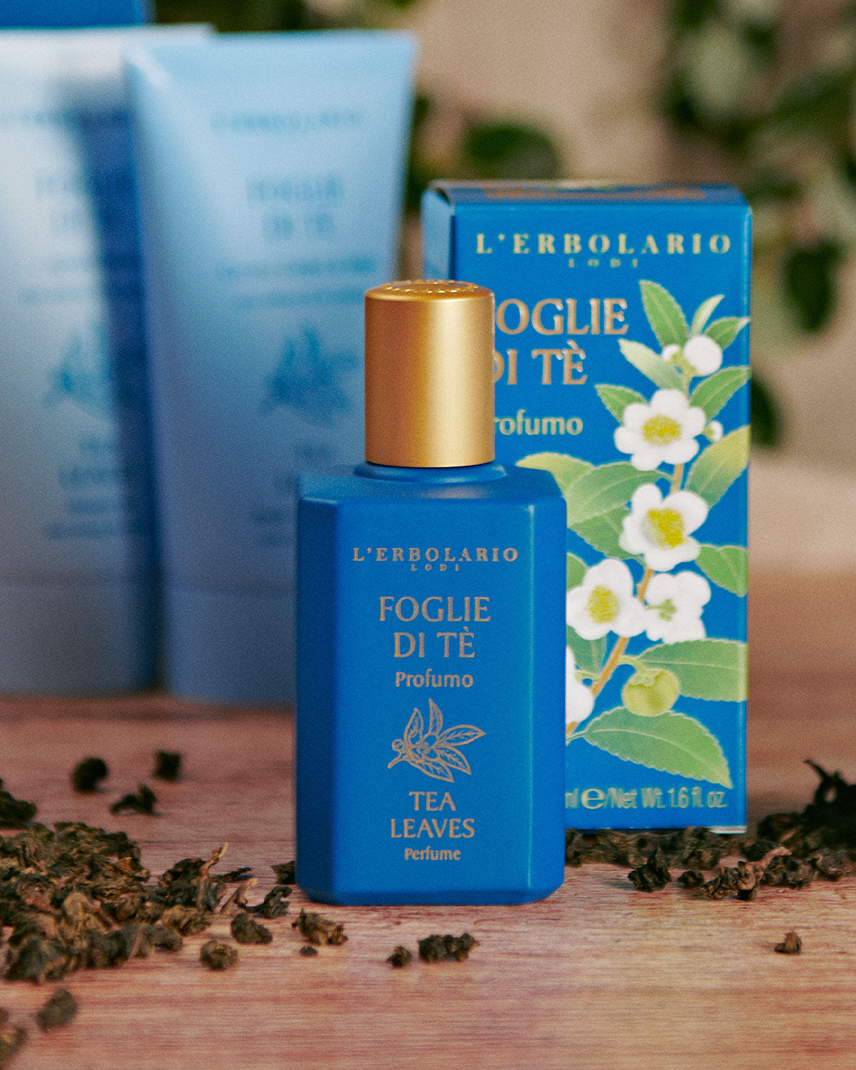 Foglie di Tè: Hydrating Creams and Room Diffusers – L'Erbolario