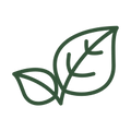 Certified Organic