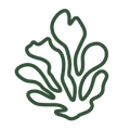 Reef protection